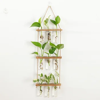 3-kihiline Katseklaasi Vaasid Puidust Seista Kaunistab Lihtne Taimede Paljundamise Jaama Tuba Office Rõdu Decor